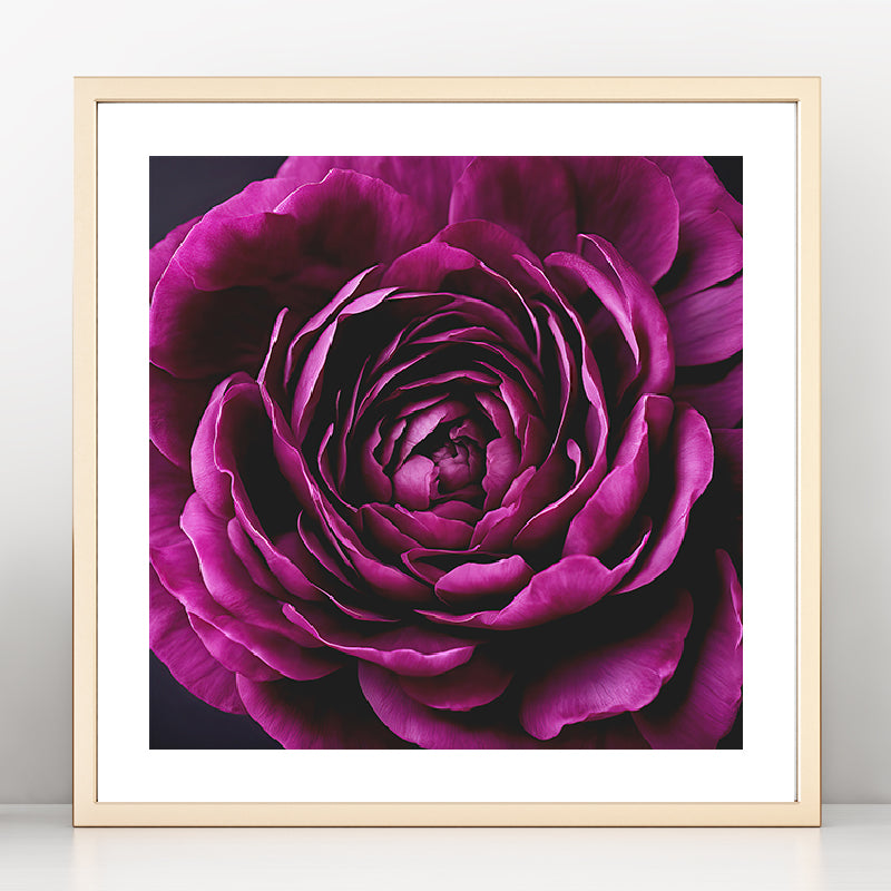Vibrant Rose Art