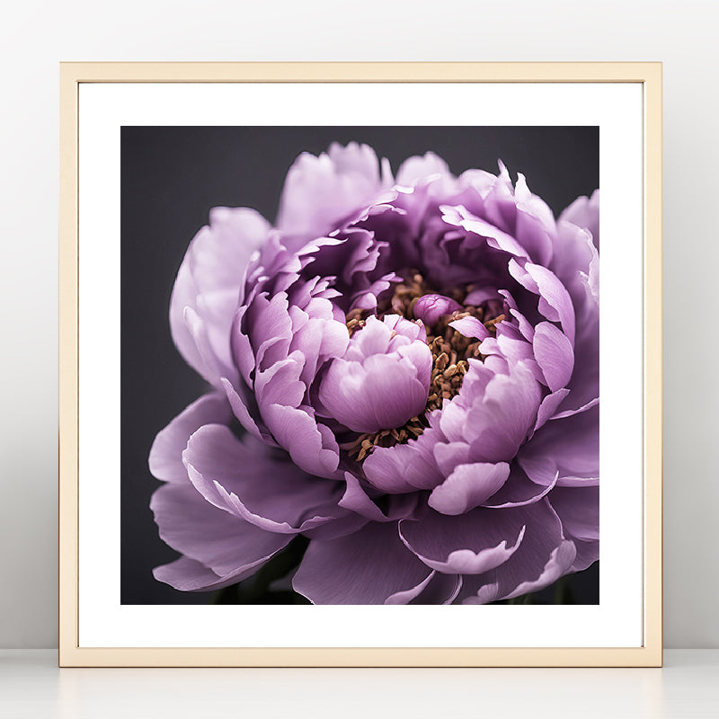 Purple Peony Art