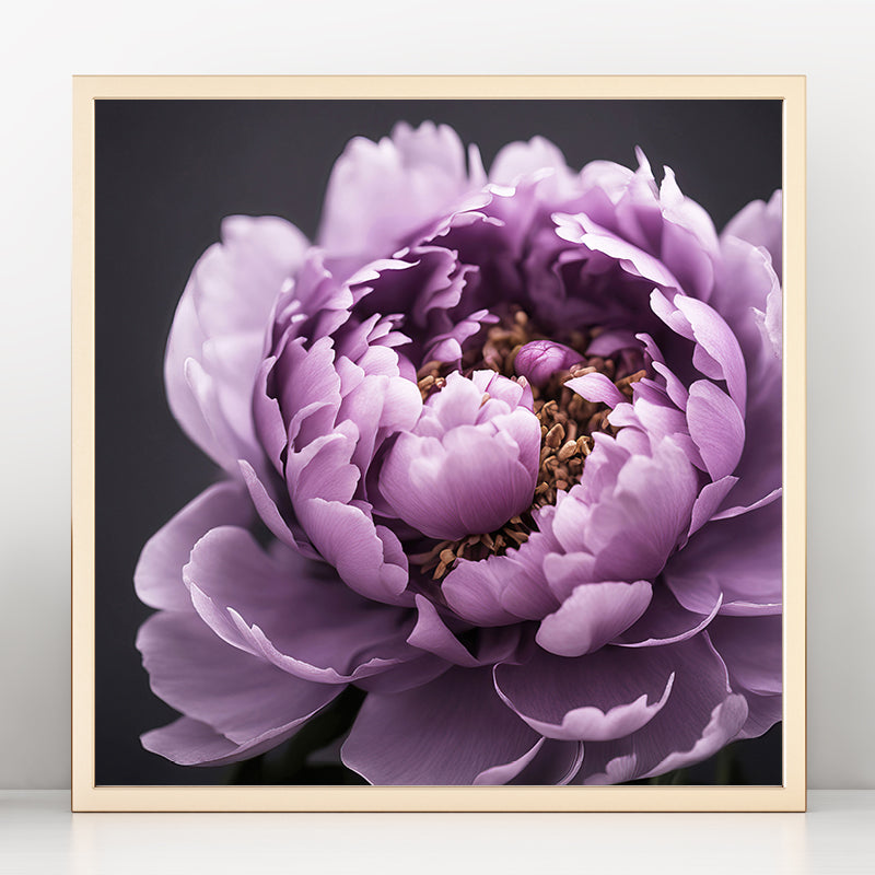 Purple Peony Art