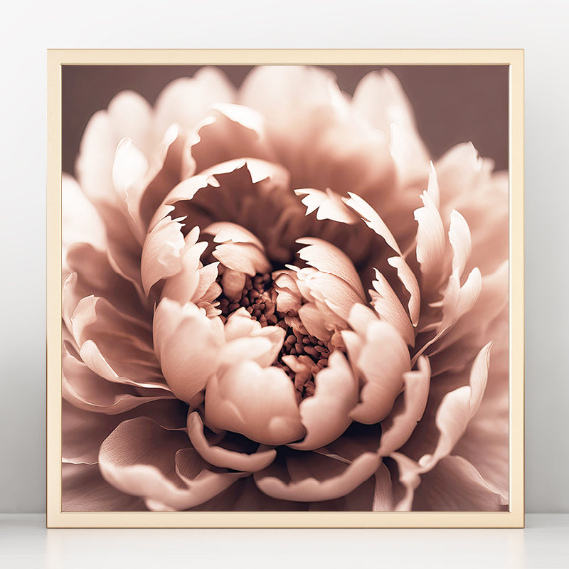 Brown Peony Art