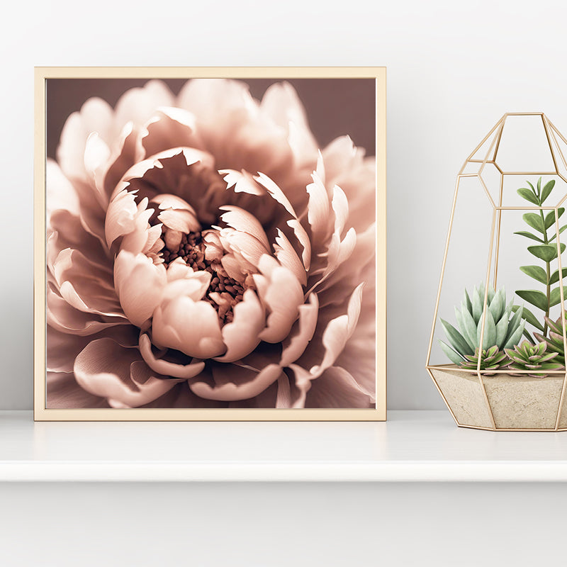 Brown Peony Art