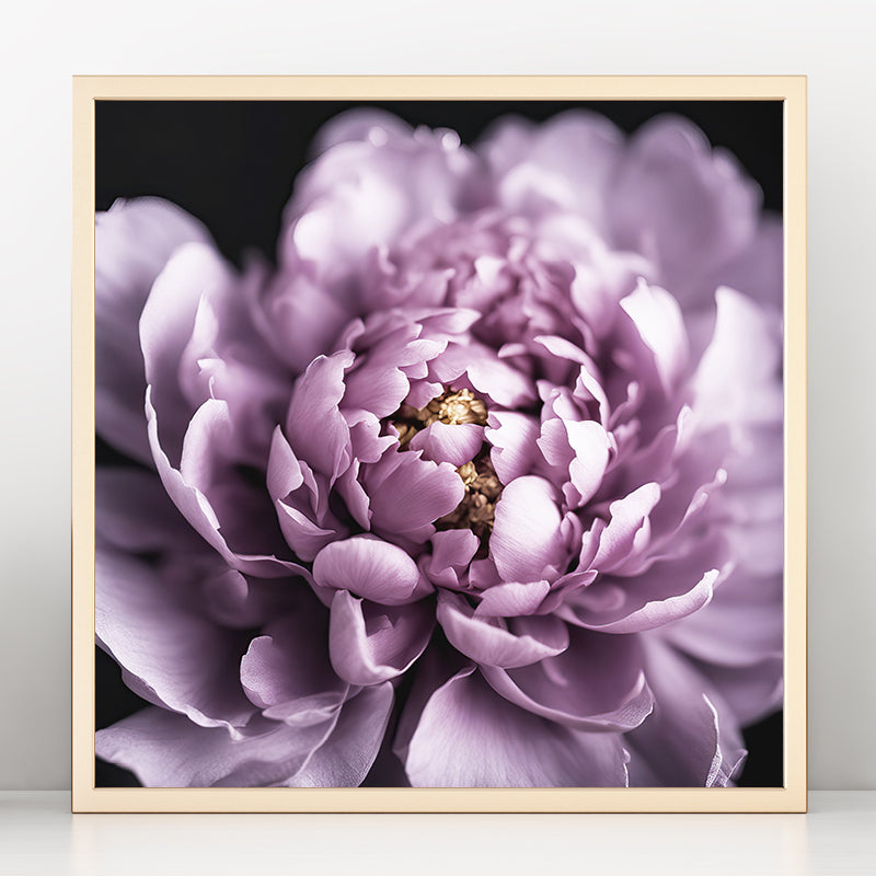 Purple Peony Art