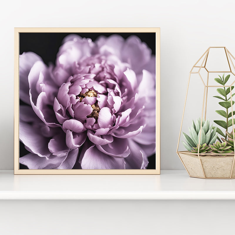 Purple Peony Art