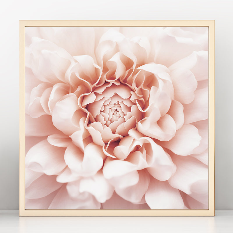 Pale Pink Floral Art