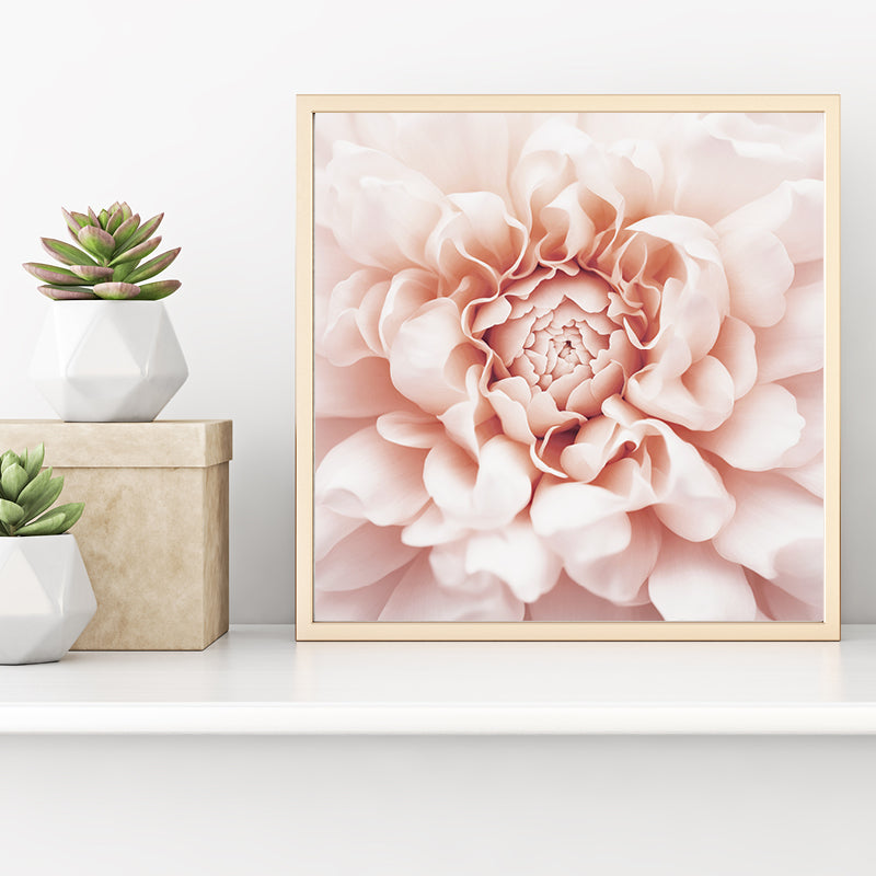 Pale Pink Floral Art