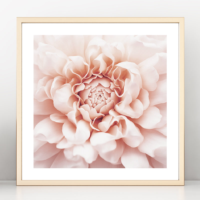 Pale Pink Floral Art