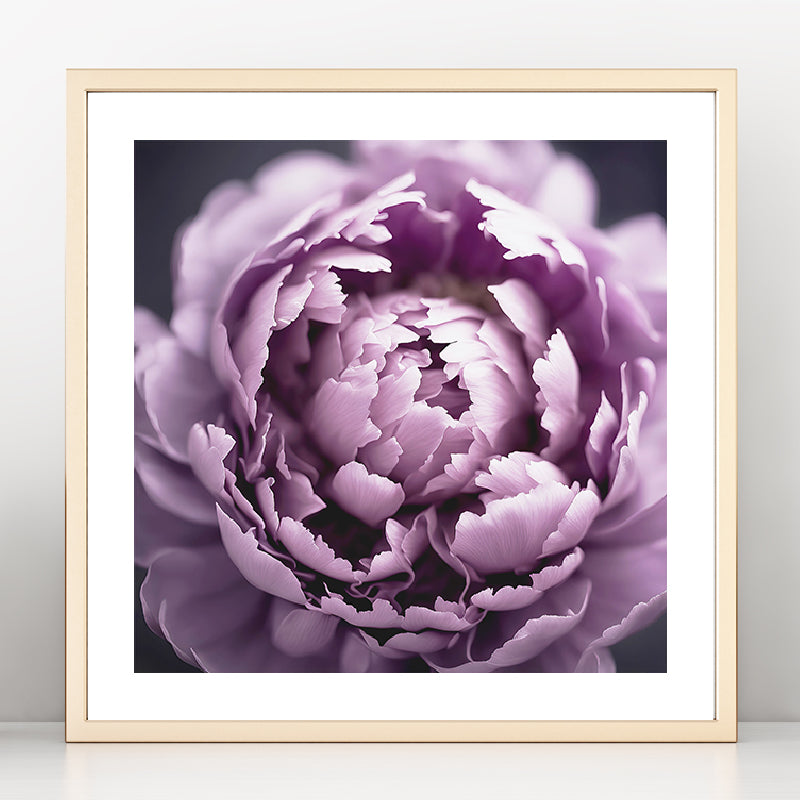 Purple Peony Art