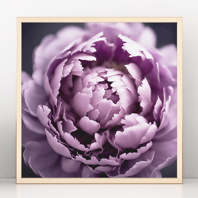 Purple Peony Art