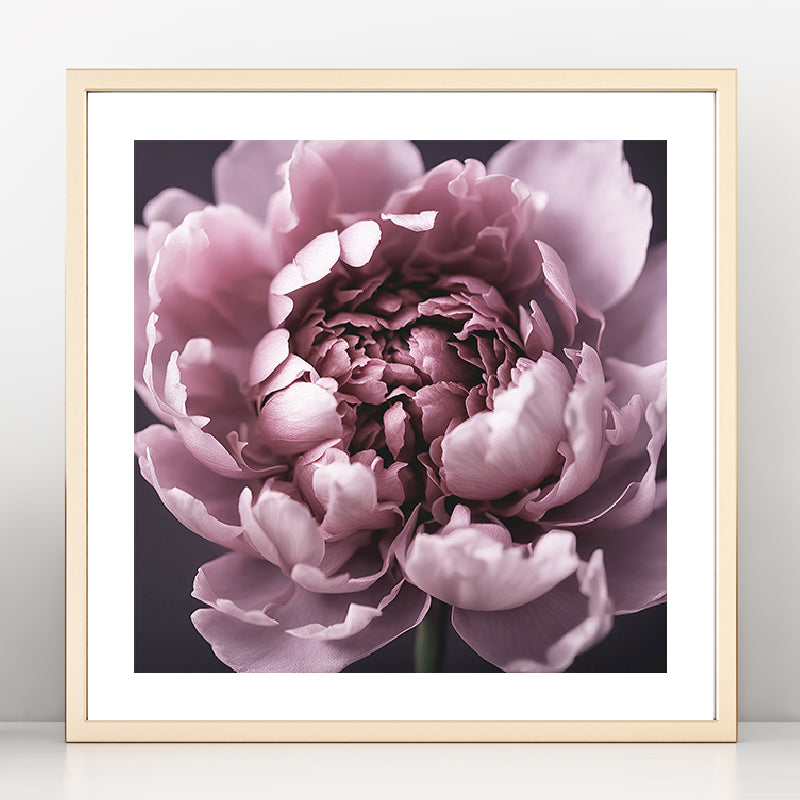 Dark Peony Art