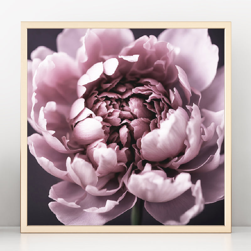 Dark Peony Art