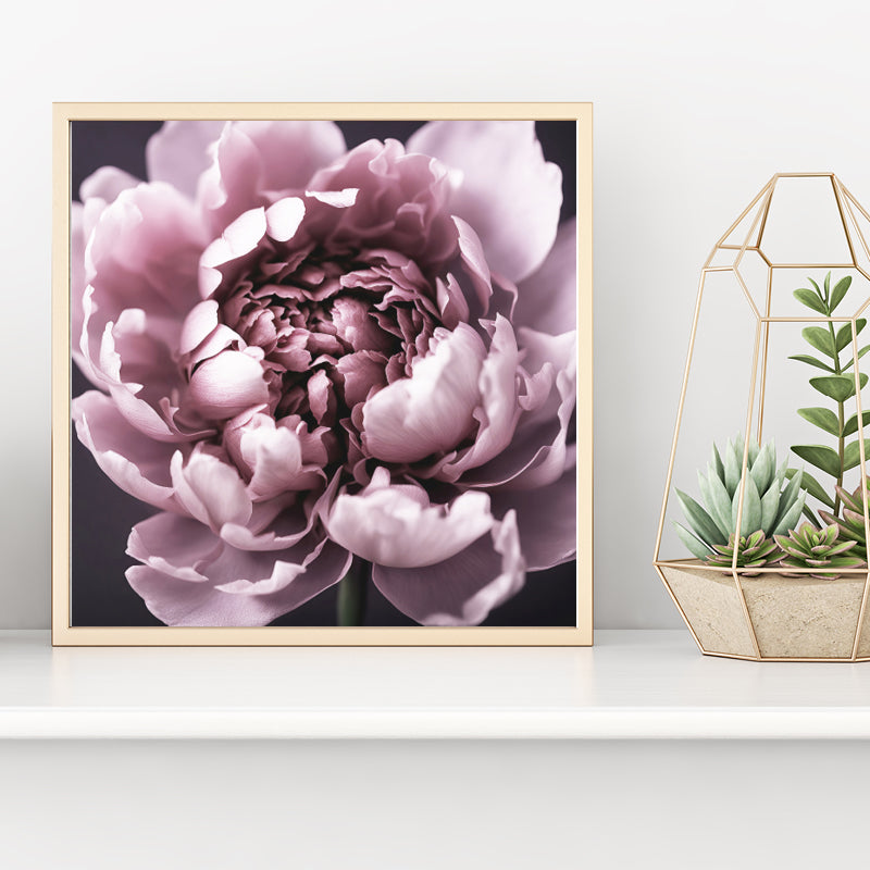 Dark Peony Art