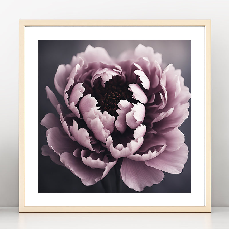 Dark Peony Art