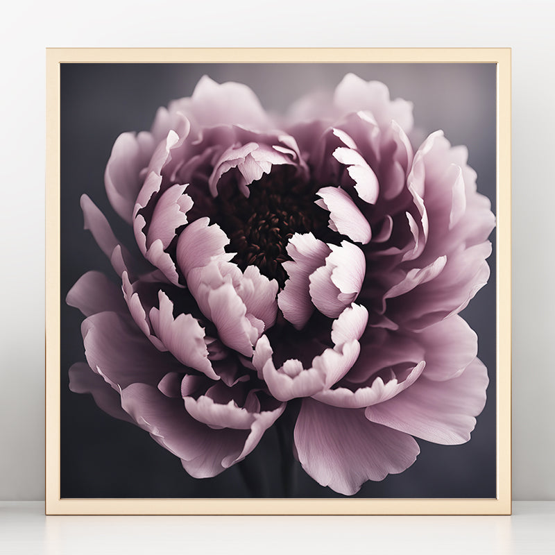 Dark Peony Art