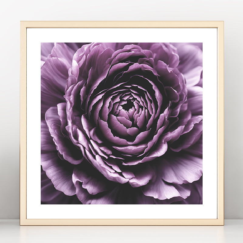 Dark Purple Rose Art