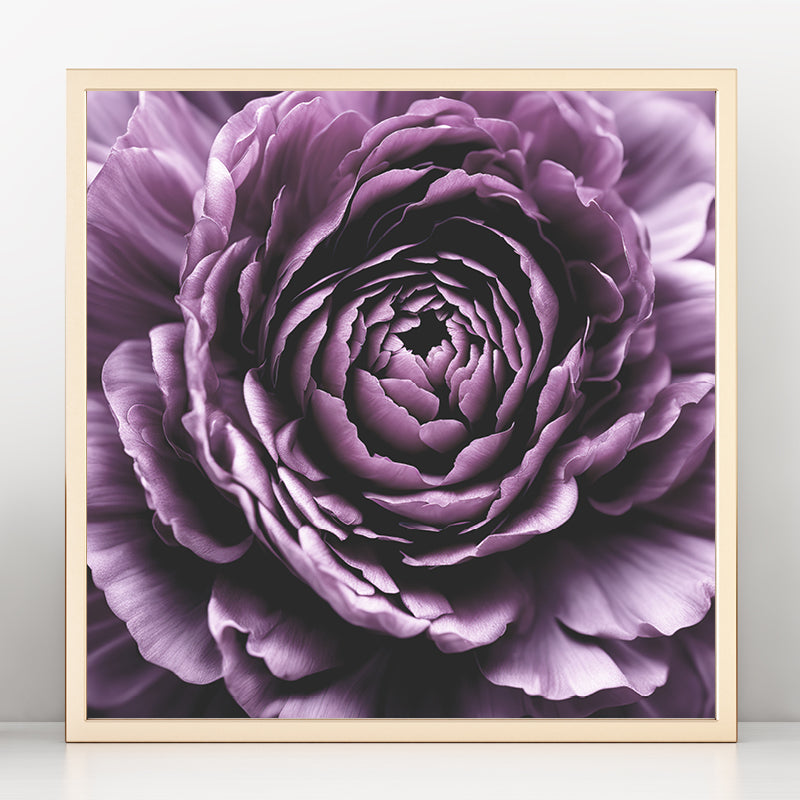 Dark Purple Rose Art