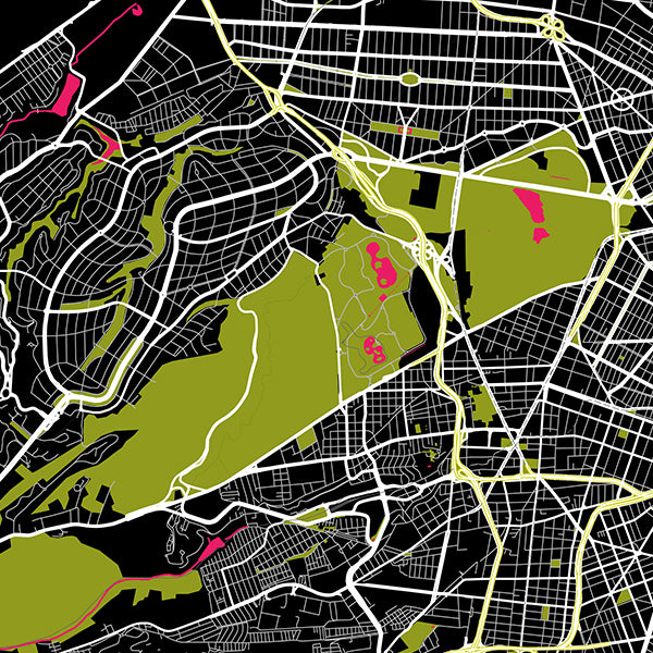 Mexico City NFT Map, Chapultepec No. 11 ~ Galeria Rodrigo Maps